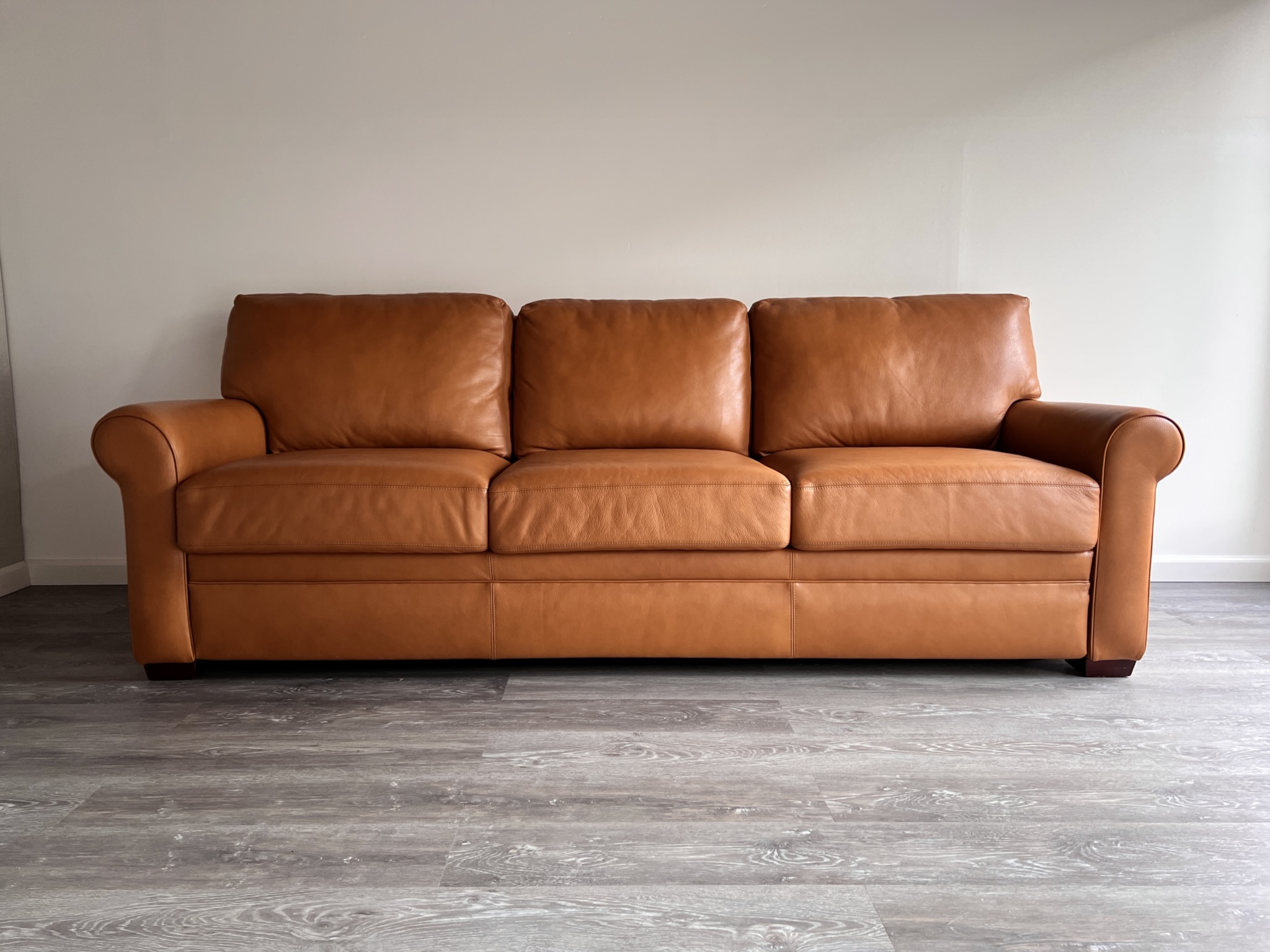 American Leather Sleeper